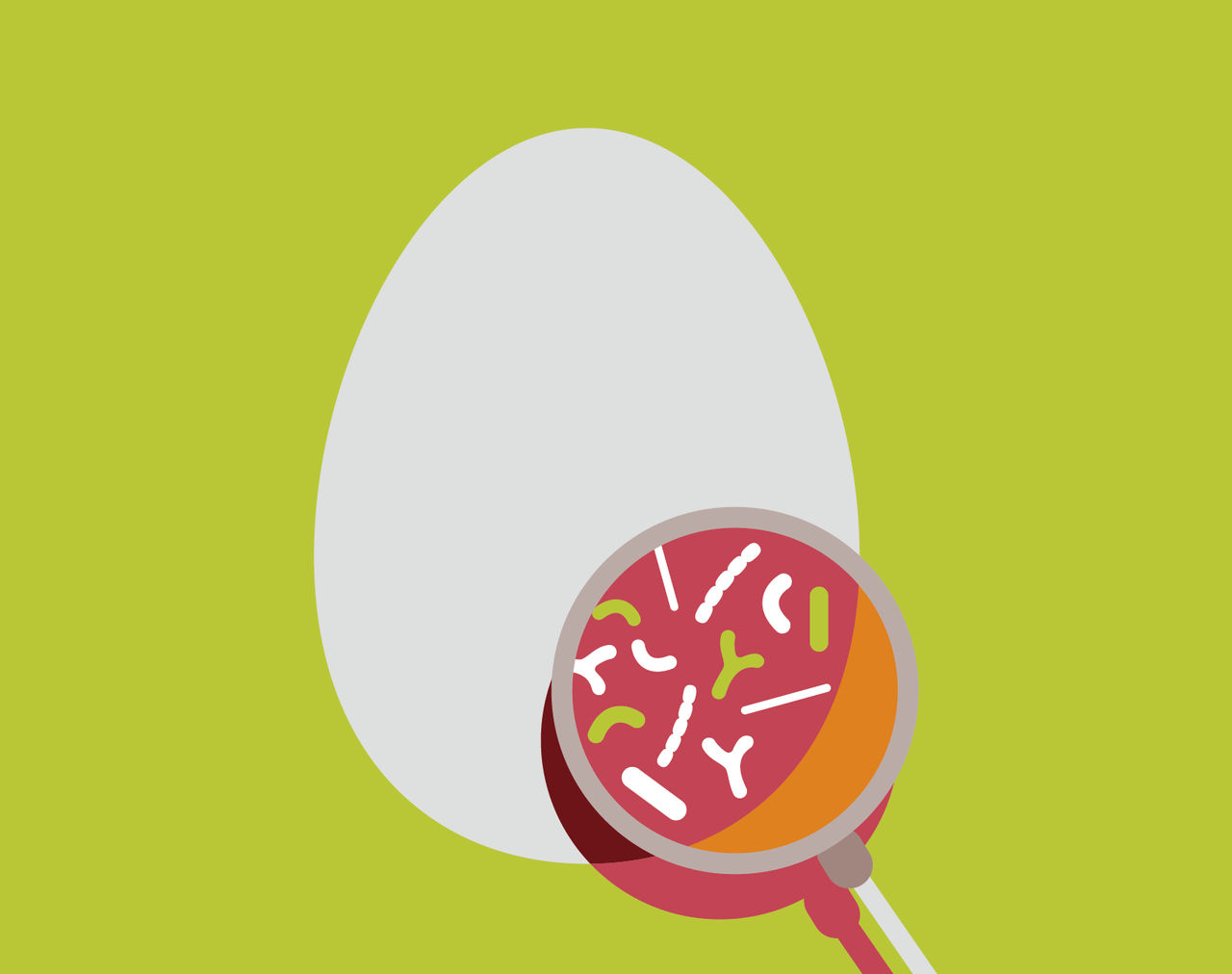 Illustration, iconography and infographic